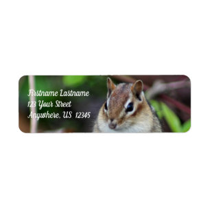 Etiqueta Morada Animal do Chipmunk Selvagem