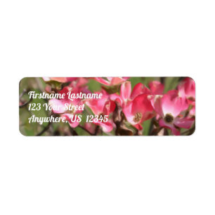 Etiqueta Morada de pintura da Flor Rosa Dogwood Flor Blosso