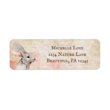 Morada do coelho doce