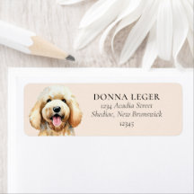 Morada Personalizada do Cão Goldendoodle