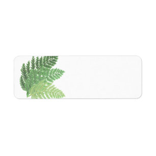 Etiqueta Moss Green Fern