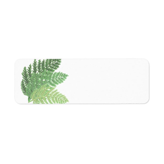 Etiqueta Moss Green Fern (Frente)