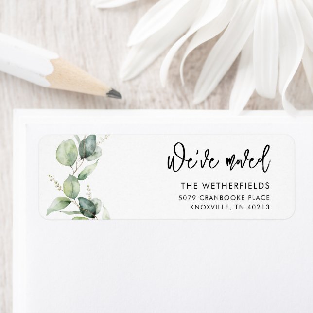 Etiqueta Movimentamos o Eucalyptus para o Endereço de Retor (Insitu)