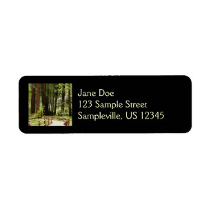 Etiqueta Muir Woods Path I Nature Photoics