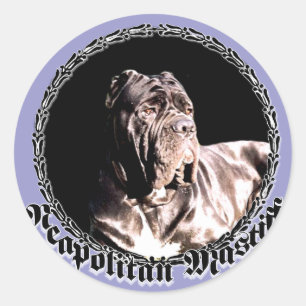 Etiqueta napolitana do mastiff