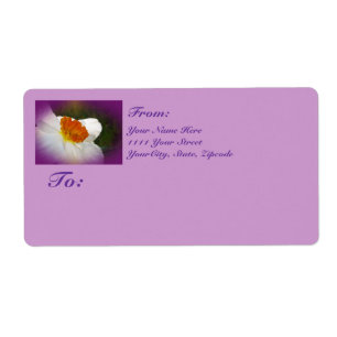 Etiqueta Narciso - Beleza Springtime