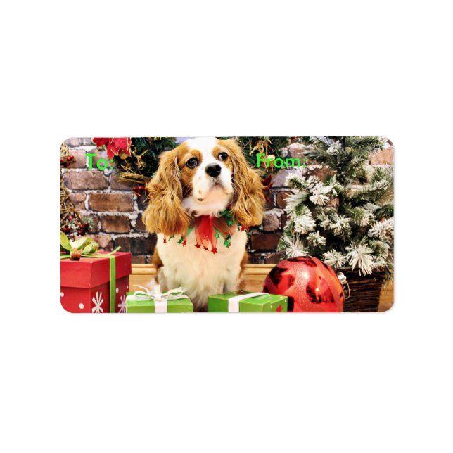 Etiqueta Natal - Cavalier King Charles Spaniel Maverick (Frente)