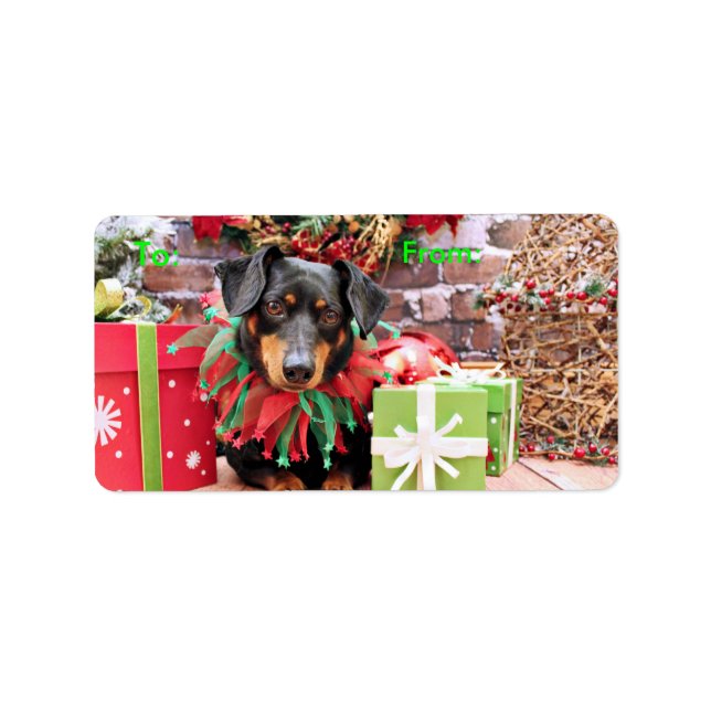 Etiqueta Natal - Dachshund - Tanner (Frente)