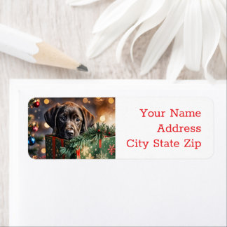 Etiqueta Natal Férias Chocolate Lab Volta