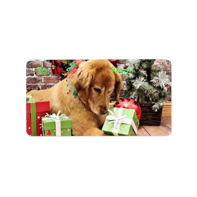 Etiqueta Natal - Ouro Retriever - Addison (Frente)