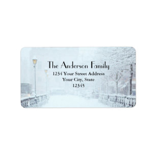 Etiqueta Neve coberta de rua com árvores e postes