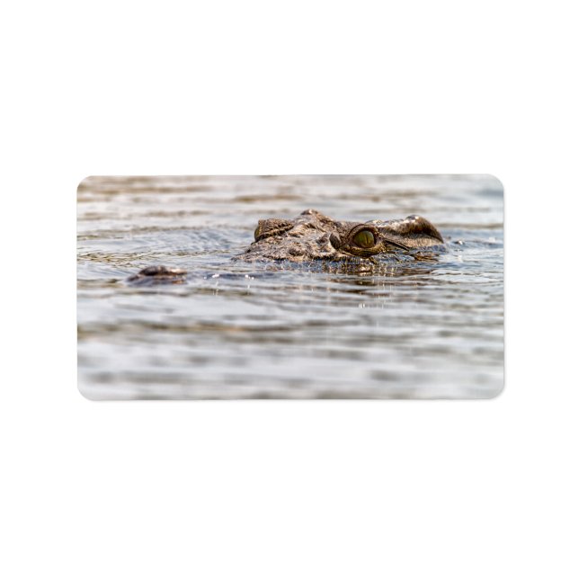 Etiqueta Nile Crocodilo (Frente)