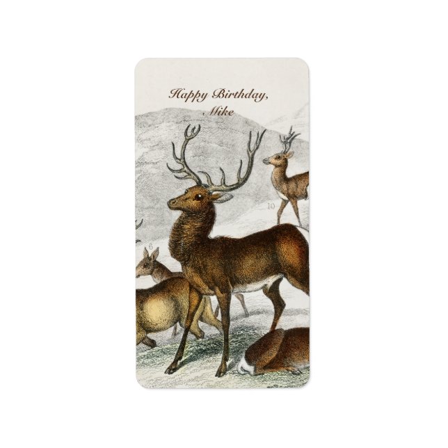 Etiqueta Nome Personalizado Red Deer Hart, Hind, Roebuck Mu (Frente)