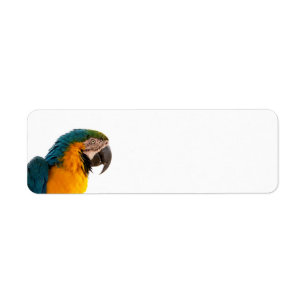 Etiqueta Notas de Posto do papagaio