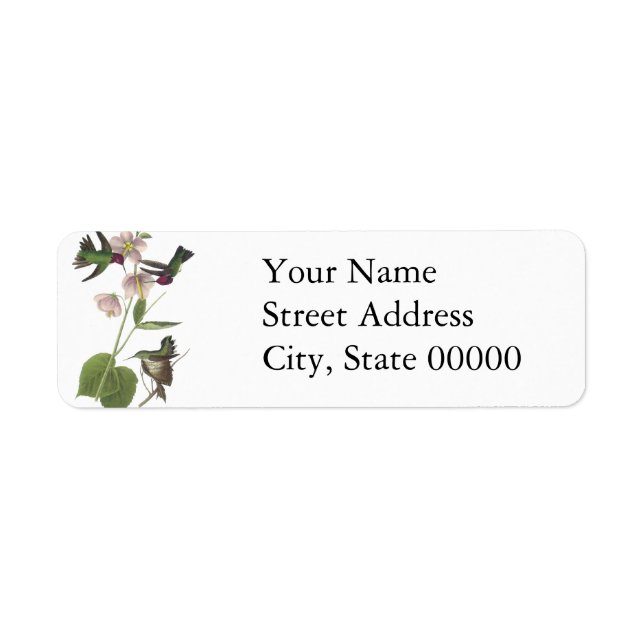 Etiqueta O Hummingbird de Anna, James Audubon (Frente)