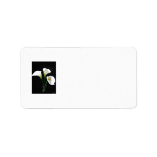 Etiqueta O lírio de Calla elegante floresce 10