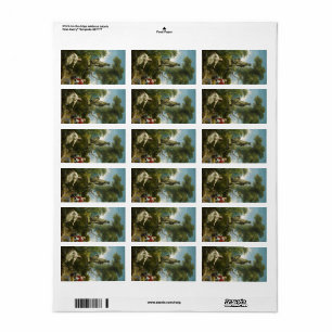 Etiqueta O progresso do amor, a reunião de Fragonard