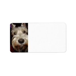 Etiqueta O que você está olhando?