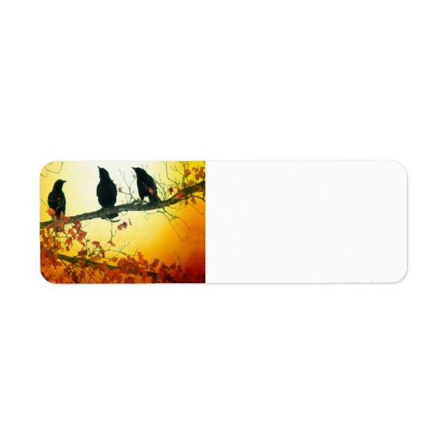 Etiqueta O Sol Sobe (Frente)