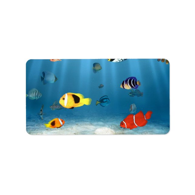 Etiqueta Oceanos de Peixe (Frente)