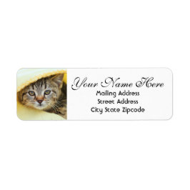 Etiqueta Ocultando Endereço de Devolução do Kitten