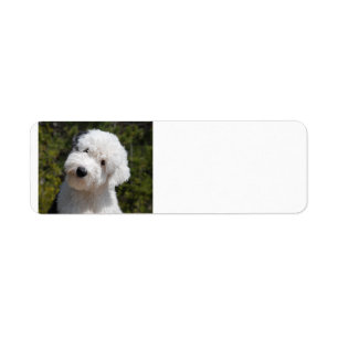 Etiqueta Old_English_Sheep_Dog pup.png