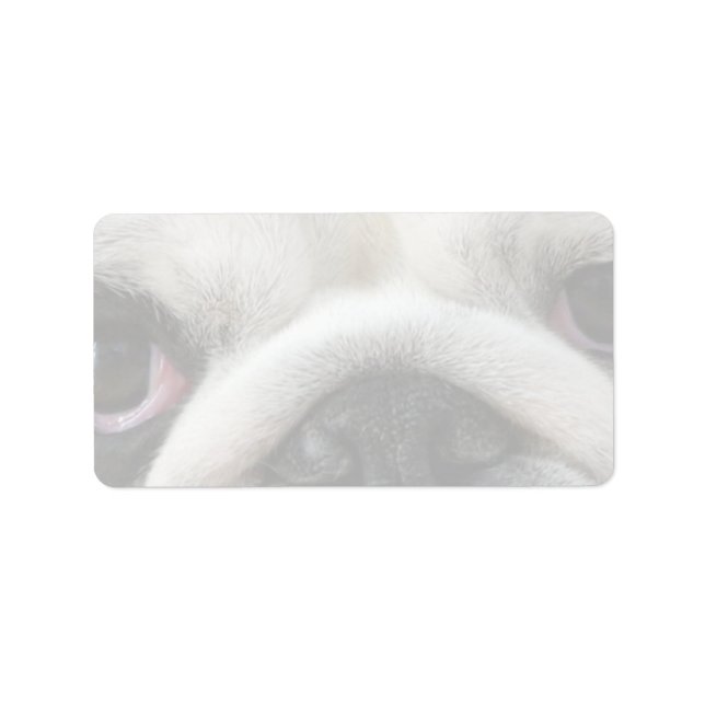 Etiqueta Olhos de Buldogue (Frente)