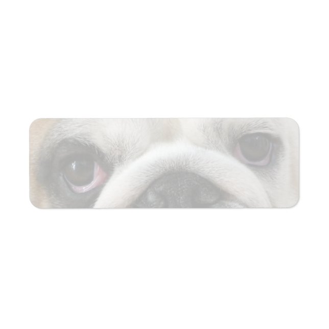Etiqueta Olhos de Buldogue (Frente)