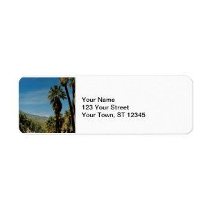 Etiqueta Opinião do Palm Springs
