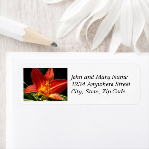 Etiqueta Orange Daylily Bloom Floral Return Endereço