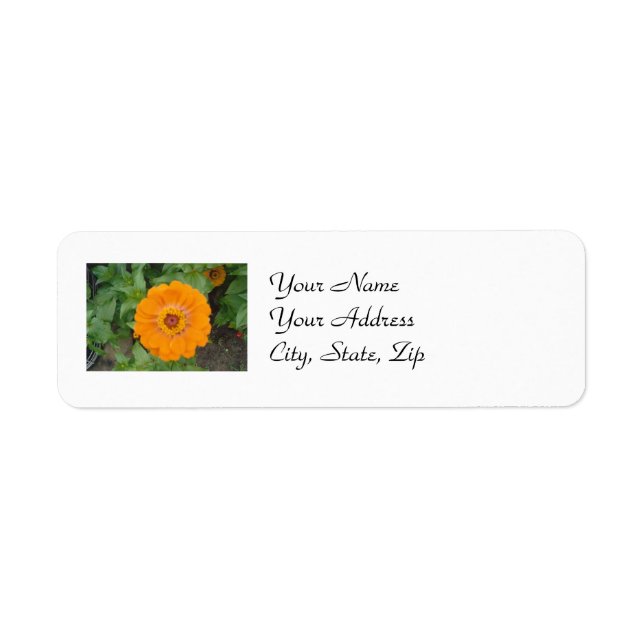 Etiqueta Orange Zinnia (Frente)