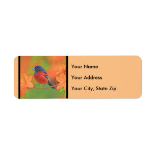 Etiqueta Orchard Oriole Songbird Pintura Original