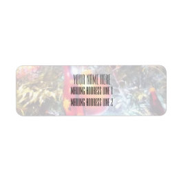 Etiqueta Ornamentos Iluminantes