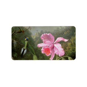 Etiqueta Orquídea e colibris de Martin Johnson Heade
