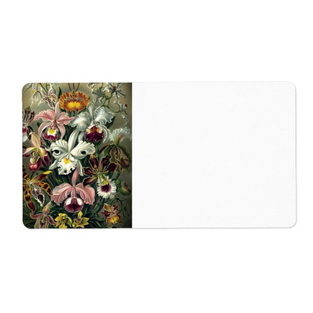 Etiqueta Orquídea Impressão de Botânica (Frente)