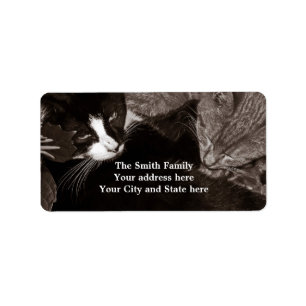 Etiqueta Os Gatos Yin Yang