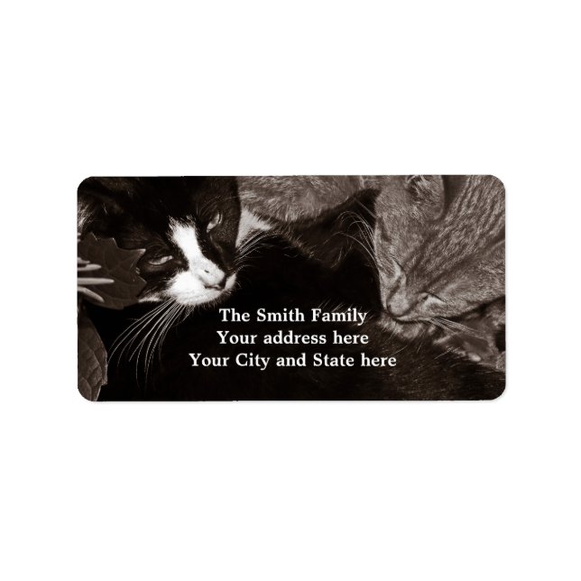 Etiqueta Os Gatos Yin Yang (Frente)