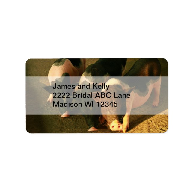 Etiqueta Os Três Pequenos Porcos (Frente)