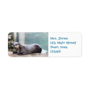 Etiqueta Otterly bonito