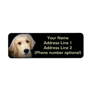 Etiqueta Ouro Address Sticker