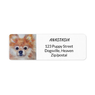 ETIQUETA OURO POMERANIAN DE CUTIE