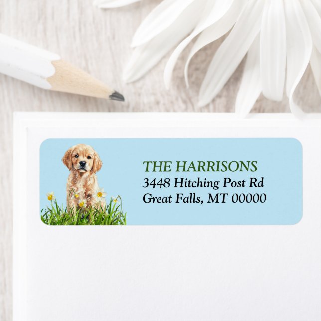 Etiqueta Ouro Retriever Puppy Daffodil Garden (Insitu)