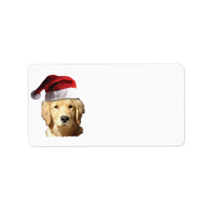 Etiqueta Ouro Retriever vestindo um chapéu de Papai Noel