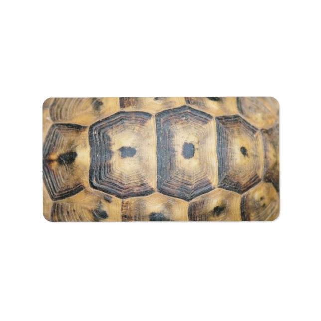 Etiqueta Padrão Tortoise Shell (Frente)