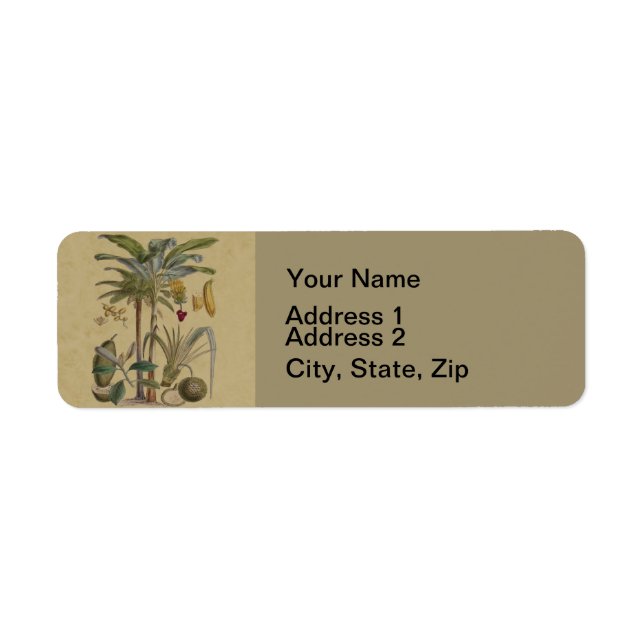 Etiqueta Palm Antique Fruta Tropical Arte Botânica (Frente)