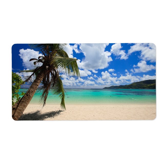 Etiqueta Palmeira (Frente)