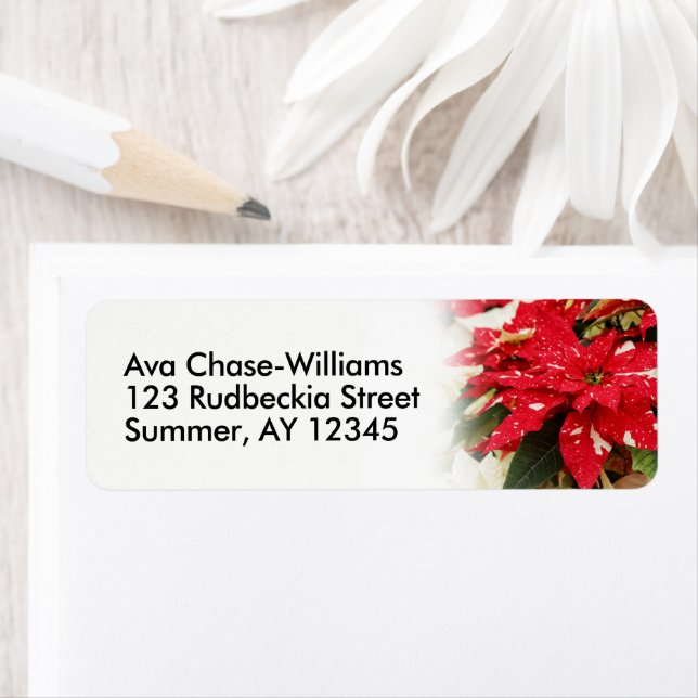 Etiqueta Pancreatite Festiva Vermelha Branca (Insitu)