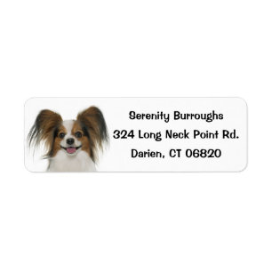 Etiqueta Papillon Brown & White Puppy Dog