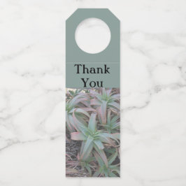 Etiqueta Para Garrafa Nevada suculenta