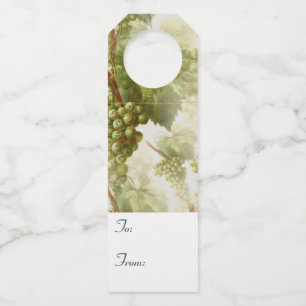 Etiqueta Para Garrafa Uvas Verdes de e para Gotas de Presente para Garra